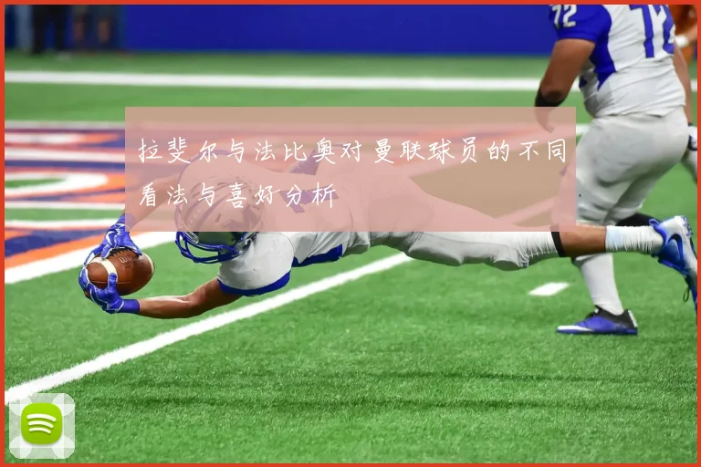 拉斐尔与法比奥对曼联球员的不同看法与喜好分析