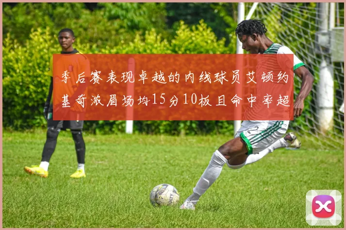 季后赛表现卓越的内线球员艾顿约基奇浓眉场均15分10板且命中率超60